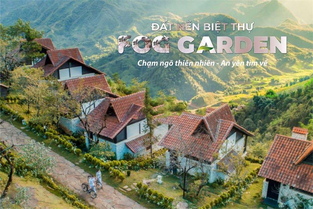 Fog Garden