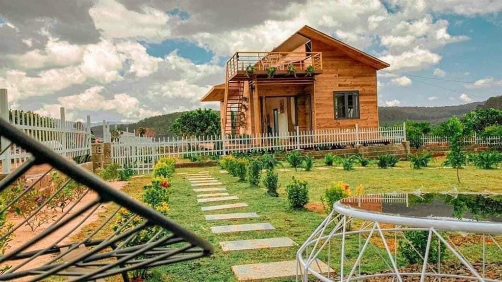 Golden Light - Mang Yang Town