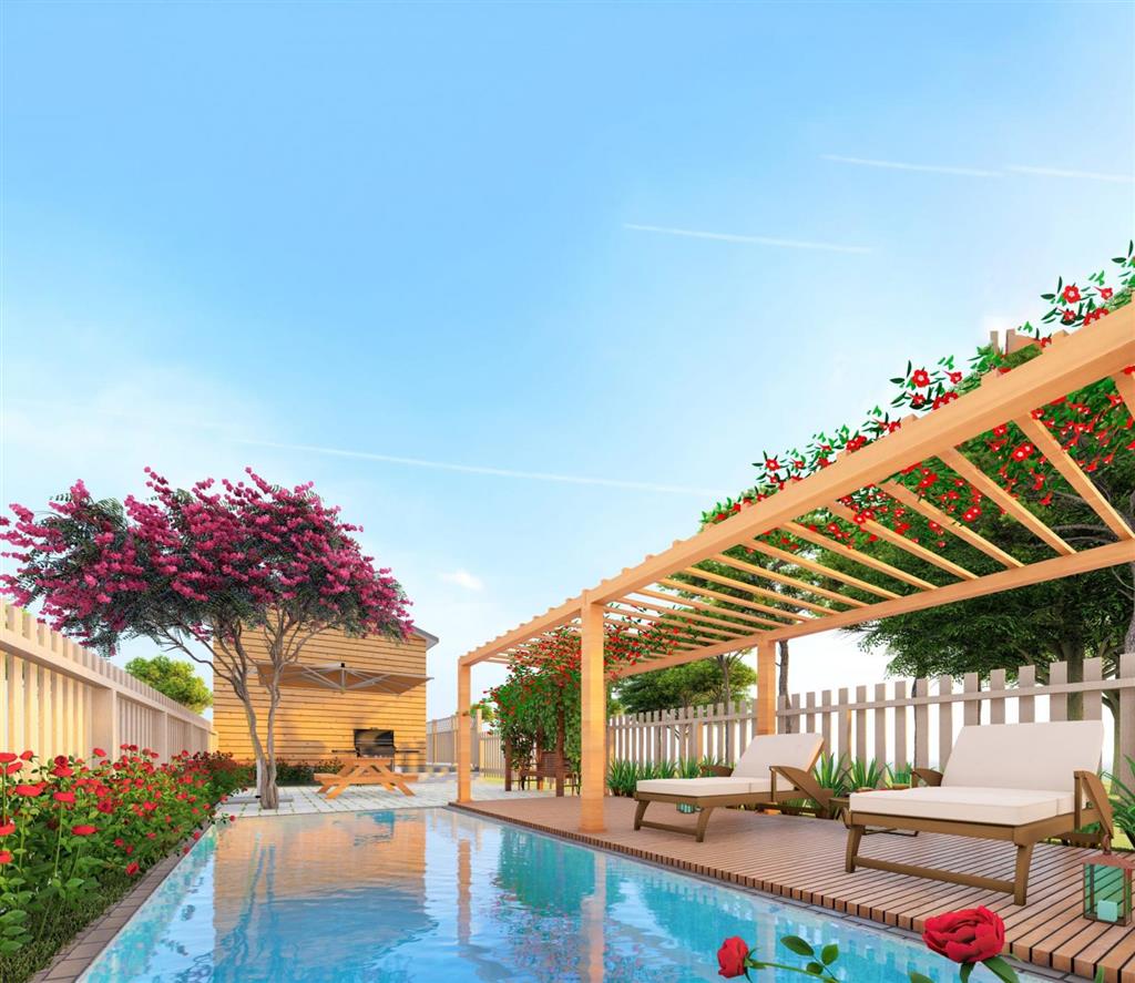 Golden Light - Mang Yang Town