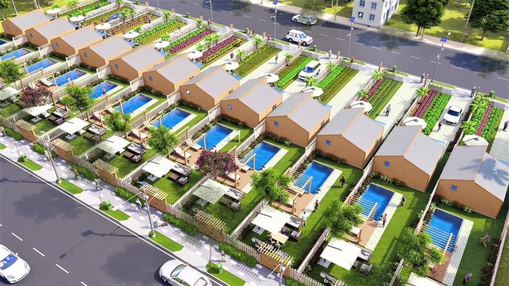 Golden Light - Mang Yang Town