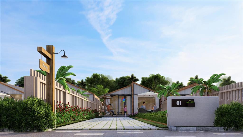 Golden Light - Mang Yang Town