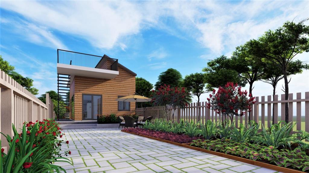 Golden Light - Mang Yang Town