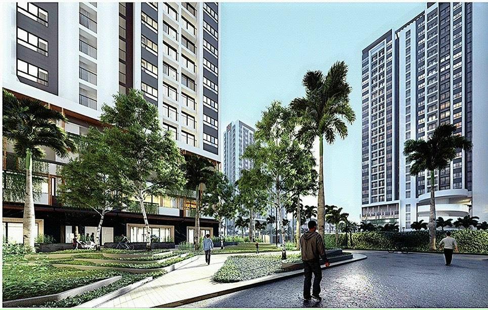 Moonlight Centre Point