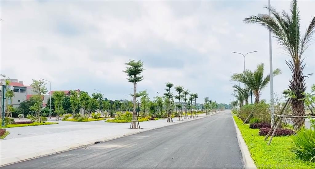 Phố Thắng Central Park