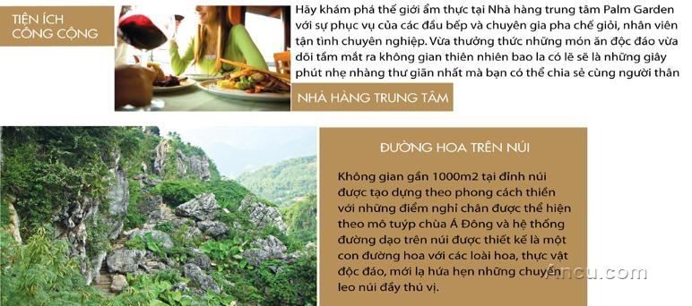 Hạ tầng, quy hoạch của The First Villa & Resort | ảnh 4