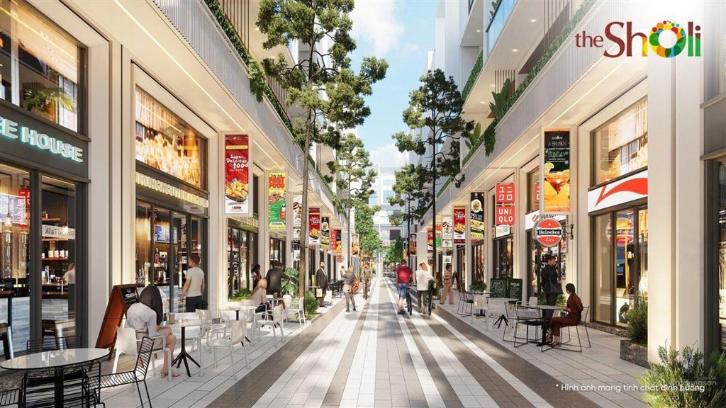 The Sholi Bình Tân