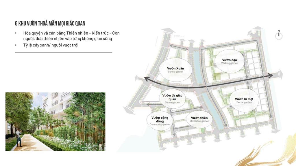 Vaquarius Văn Giang