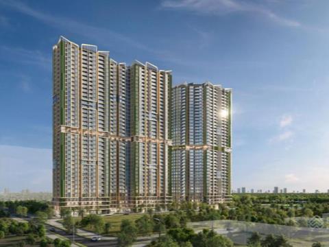 Lumiere EverGreen