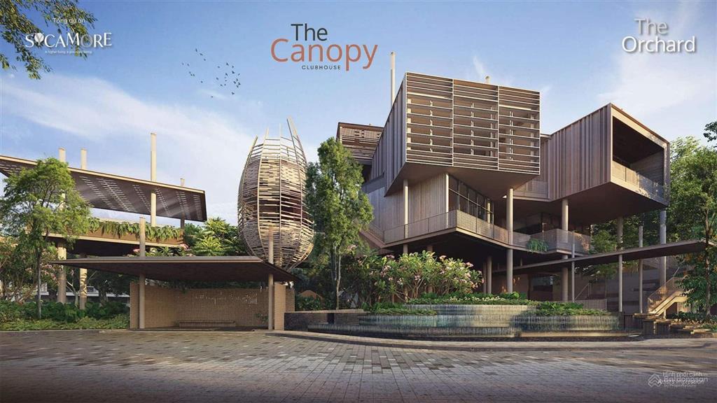 The Orchard Sycamore