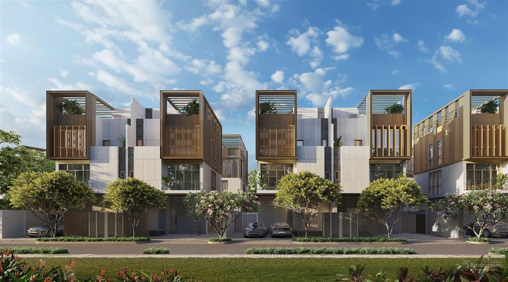 The Orchard Sycamore