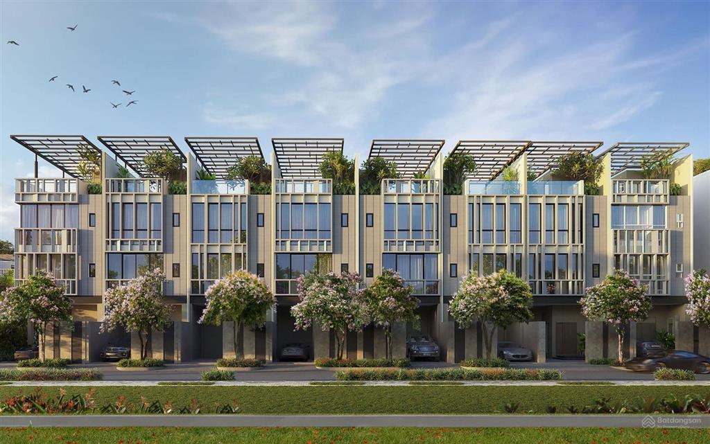 The Orchard Sycamore