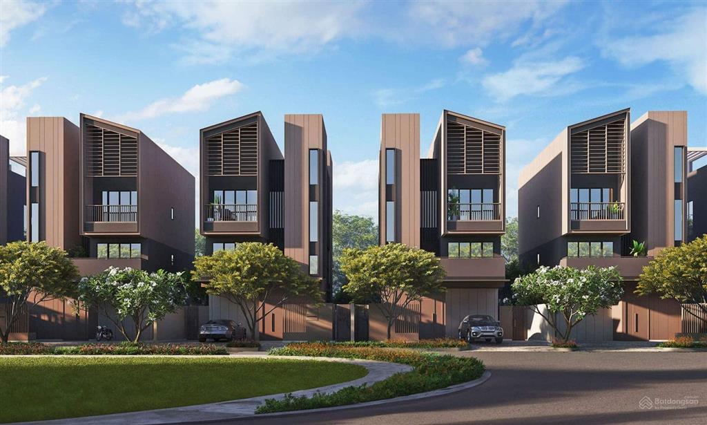 The Orchard Sycamore