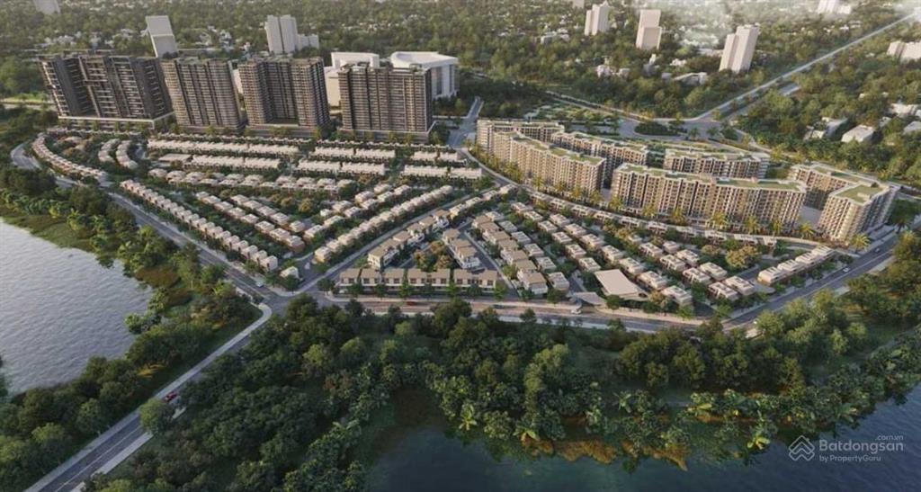 The Orchard Sycamore