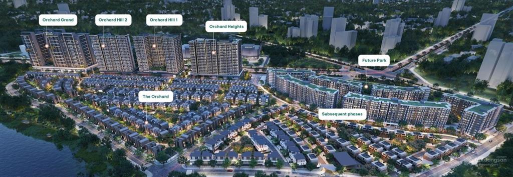 Orchard Hill - Sycamore