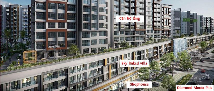 Diamond  Alnata Plus - Celadon City