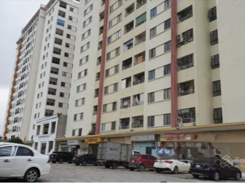 Môi Trường Xanh