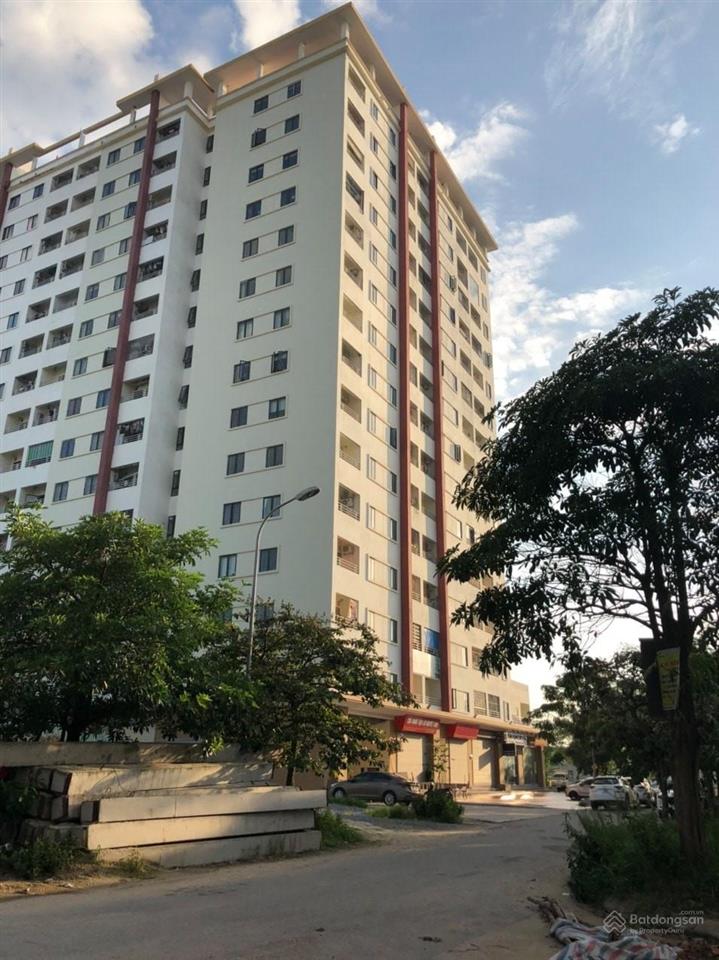 Môi Trường Xanh