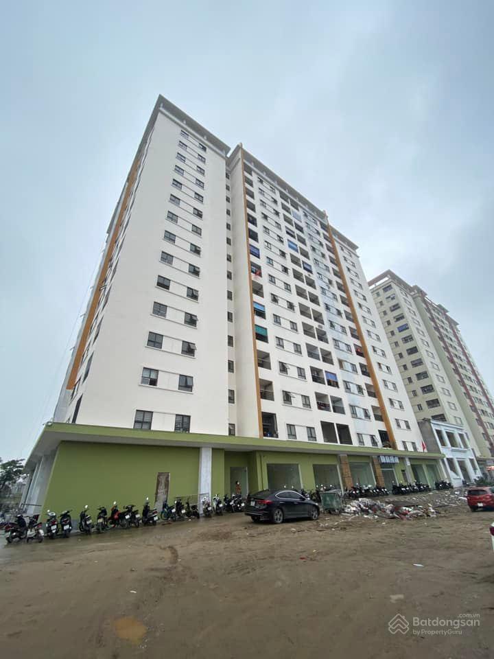 Môi Trường Xanh