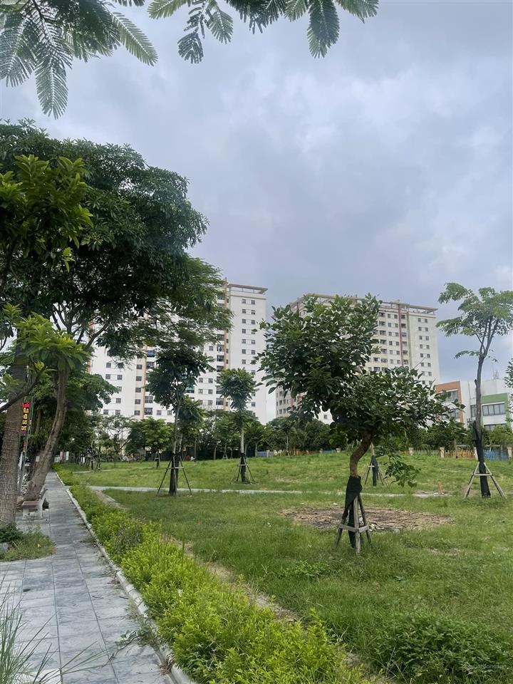 Môi Trường Xanh