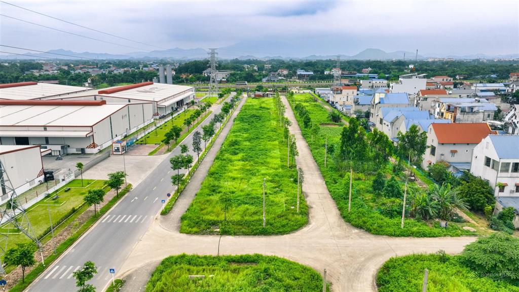 Lynn Times Thái Nguyên