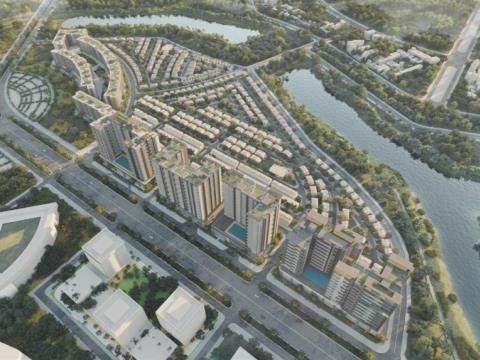 Orchard Heights - Sycamore