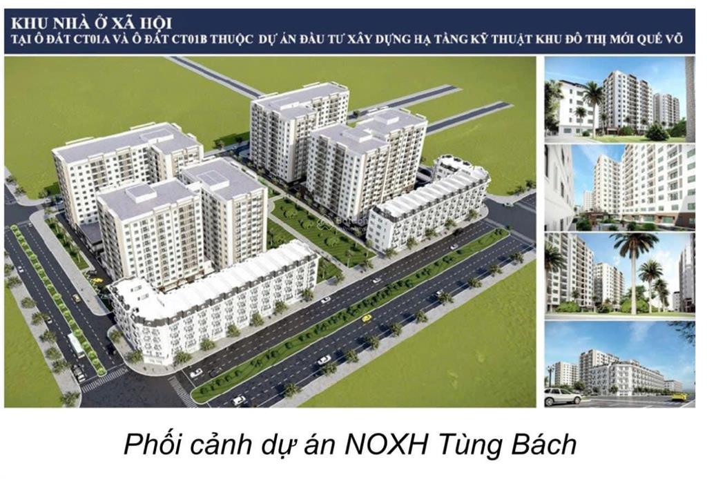 Nhà ở xã hội Tùng Bách